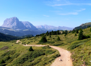 bild Weg im Gebirge